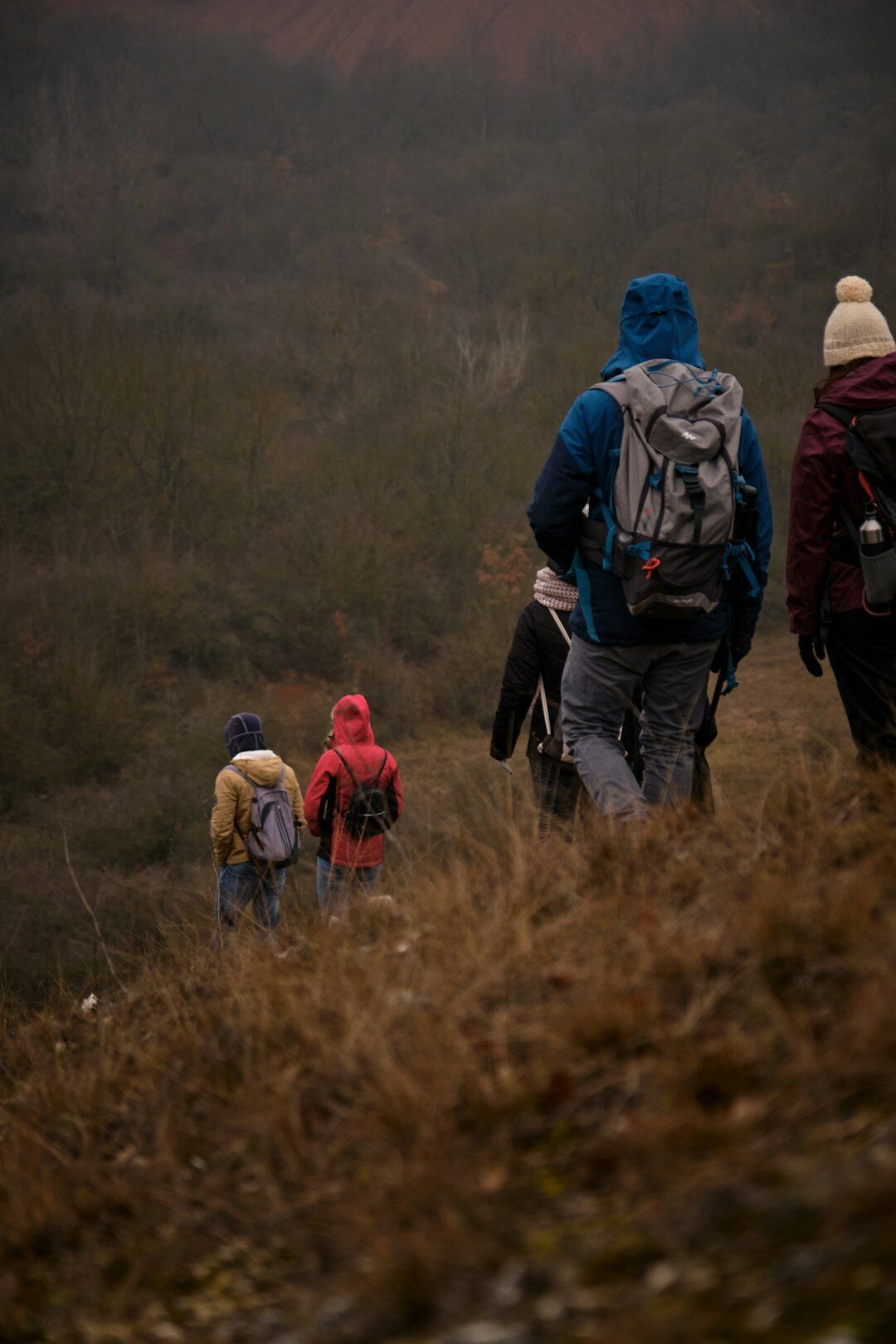elderly group hiking