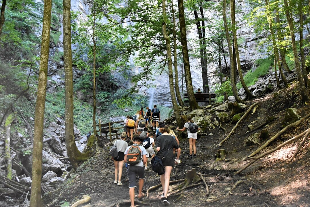 senior group hiking trail